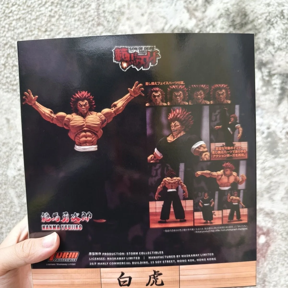 Hot Storm Toys Son Of Ogre Bak - Model Kit Baki recensione e prezzo