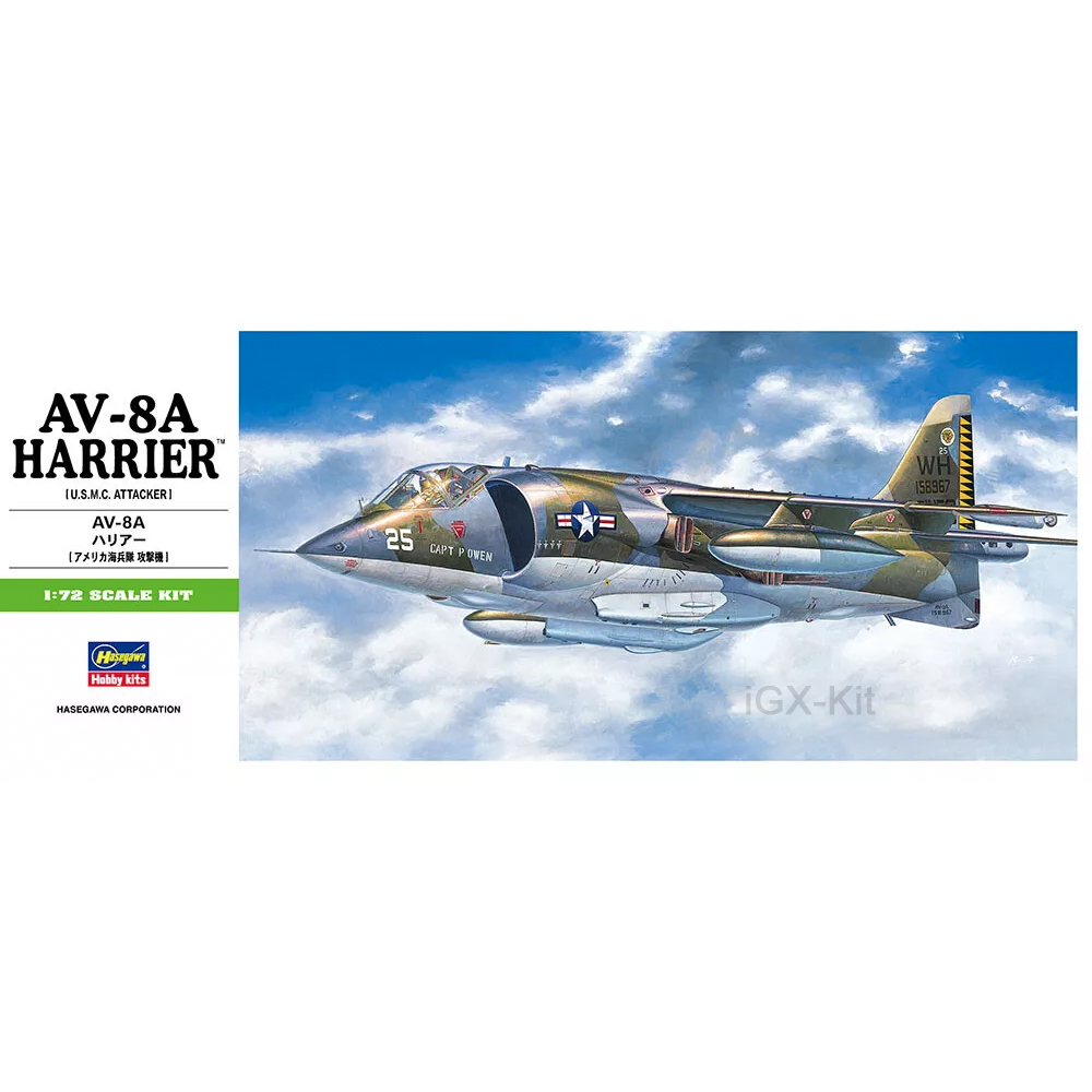 Hasegawa 00240 Modellino in Pl - Model Kit Hasegawa recensione e prezzo
