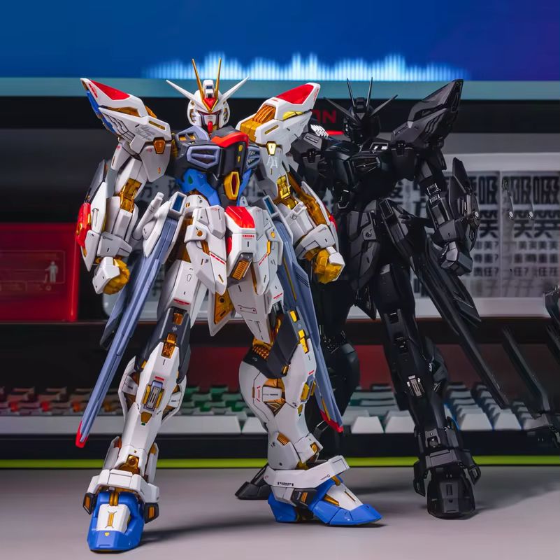 CHANGLONG Modello 7701 MGEX ZG - Model Kit Kshatriya recensione e prezzo