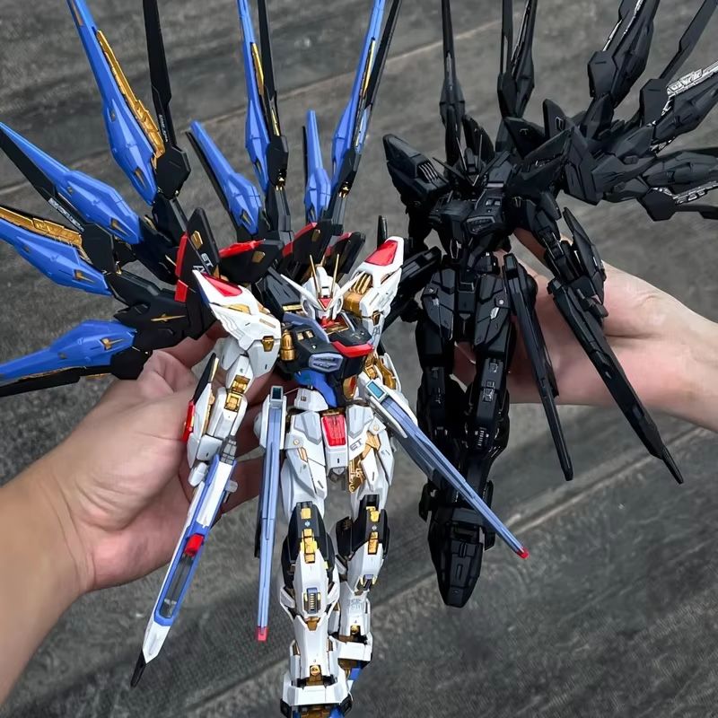 CHANGLONG Modello 7701 MGEX ZG - Model Kit Kshatriya recensione e prezzo