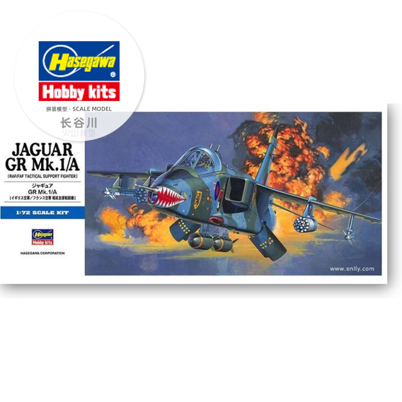 Modello di assemblaggio prefab - Model Kit Hasegawa recensione e prezzo